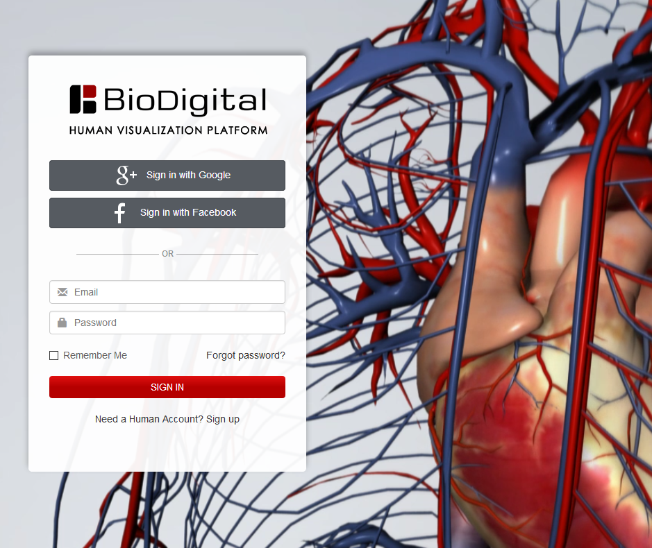 BioDigitalHuman