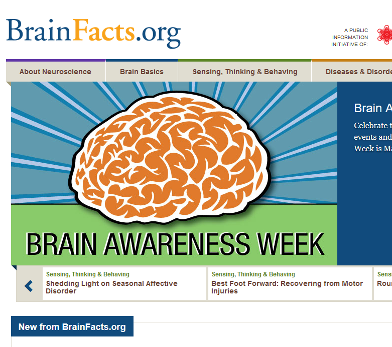 BrainFacts