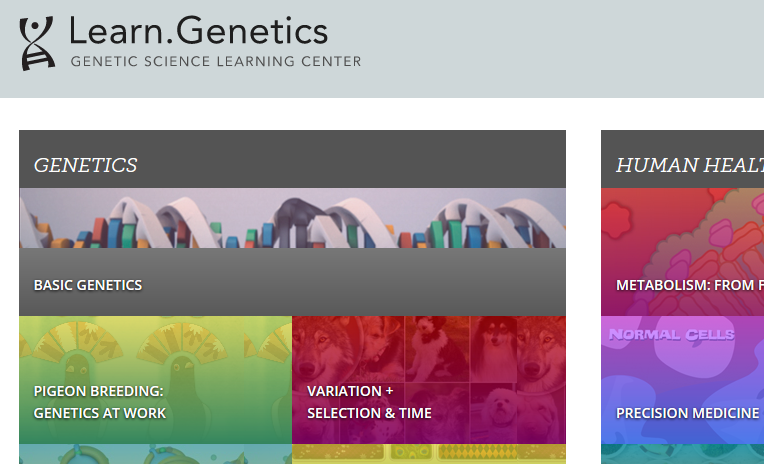 LearnGenetics
